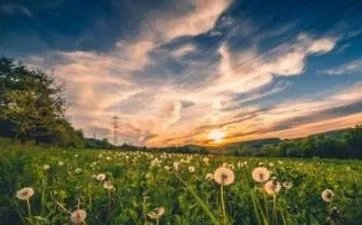2023年农历十月二十七黄道吉日查询