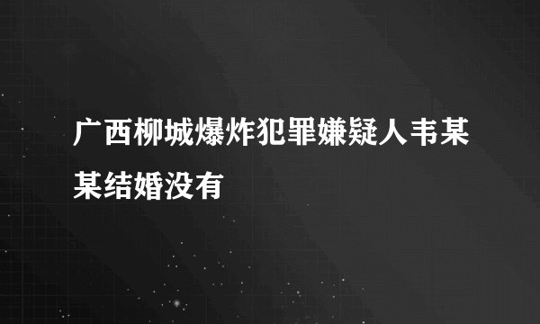 广西柳城爆炸犯罪嫌疑人韦某某结婚没有
