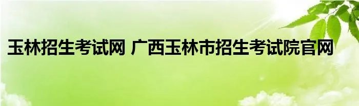 玉林招生考试网 广西玉林市招生考试院官网