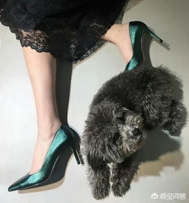 能推荐一些淘宝上有风格的女鞋吗?