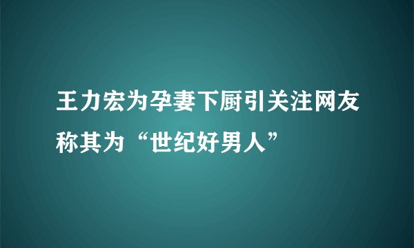 王力宏为孕妻下厨引关注网友称其为“世纪好男人”