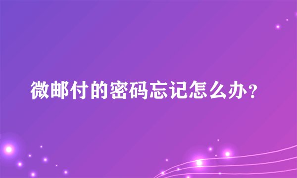 微邮付的密码忘记怎么办?