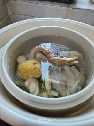 乳鸽绿豆汤