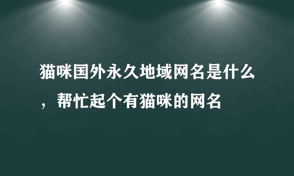猫咪国外永久地域网名是什么，帮忙起个有猫咪的网名