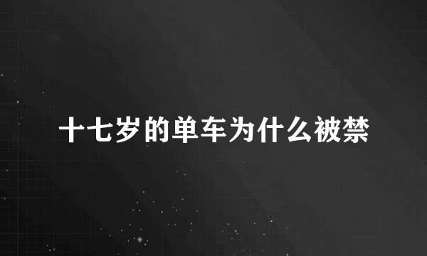 十七岁的单车为什么被禁