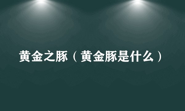 黄金之豚（黄金豚是什么）