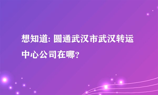 想知道: 圆通武汉市武汉转运中心公司在哪？