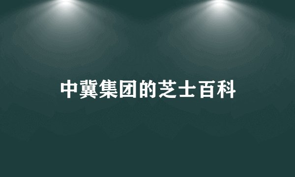 中冀集团的芝士百科