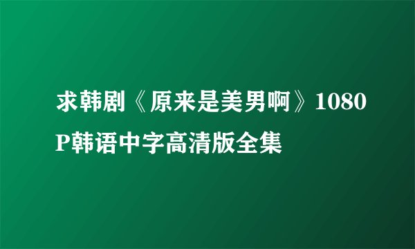求韩剧《原来是美男啊》1080P韩语中字高清版全集