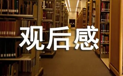 《攀登者》观后感
