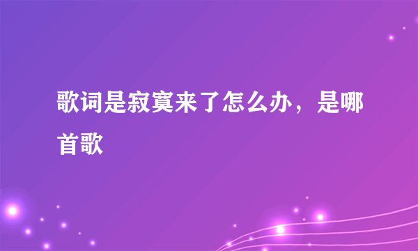 歌词是寂寞来了怎么办，是哪首歌
