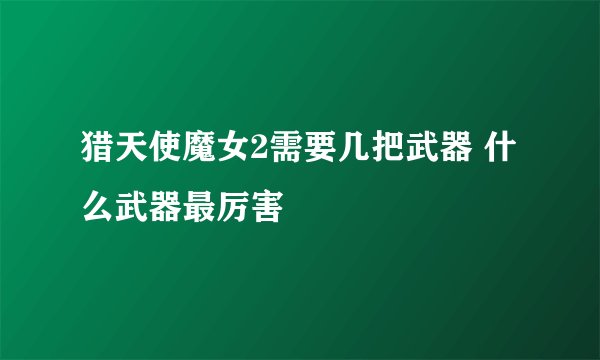 猎天使魔女2需要几把武器 什么武器最厉害