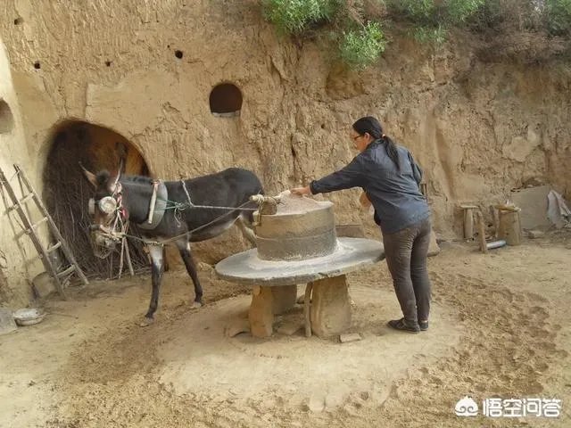 沂蒙老区指哪里?