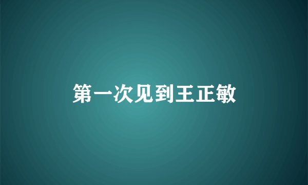 第一次见到王正敏