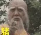 谁知道张QQ表情图片.是会动的那种.图片上面有个老和尚哈哈笑.他手指一指说；[你是猪]就图片好好看.