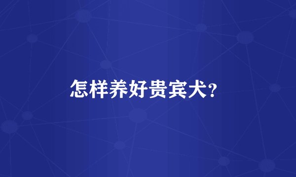 怎样养好贵宾犬？