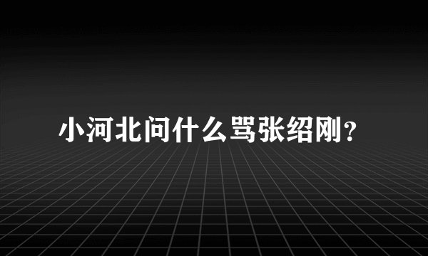 小河北问什么骂张绍刚？