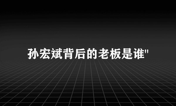 孙宏斌背后的老板是谁