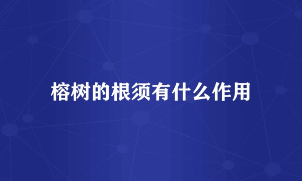 榕树的根须有什么作用