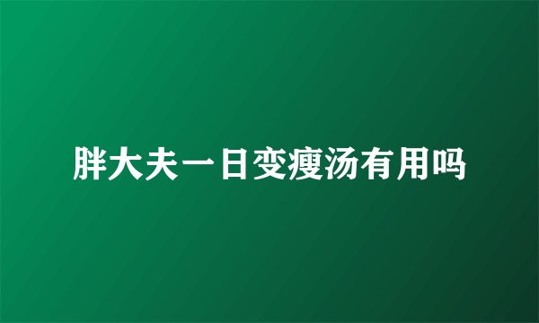 胖大夫一日变瘦汤有用吗