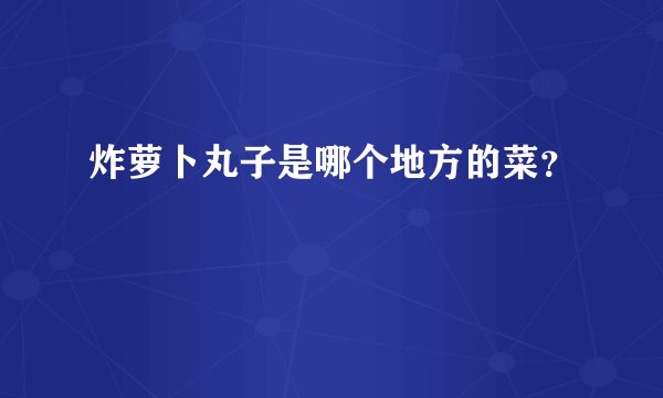 炸萝卜丸子是哪个地方的菜？