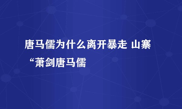 唐马儒为什么离开暴走 山寨“萧剑唐马儒