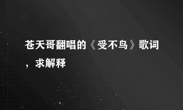 苍天哥翻唱的《受不鸟》歌词，求解释