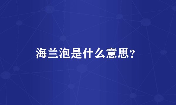 海兰泡是什么意思？