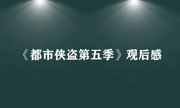 《都市侠盗第五季》观后感