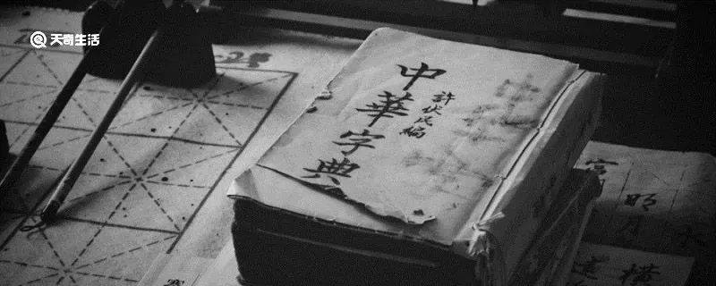 名什么实什么