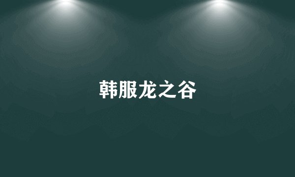 韩服龙之谷