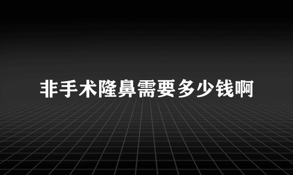 非手术隆鼻需要多少钱啊