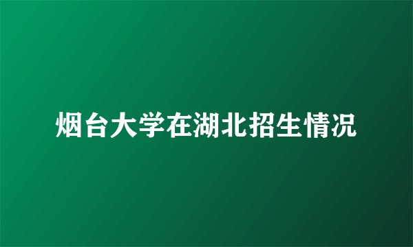 烟台大学在湖北招生情况
