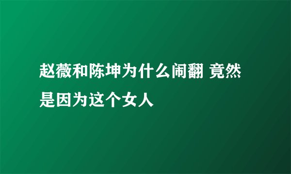 赵薇和陈坤为什么闹翻 竟然是因为这个女人
