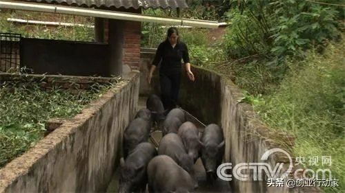 你认为中央电视台的《致富经》能让人致富吗?