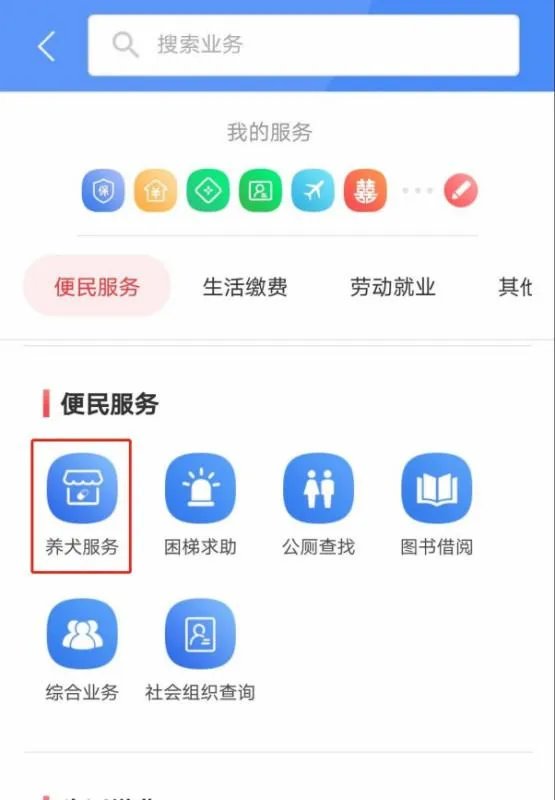 广州养狗需要什么