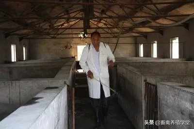 11月13日，云南腾冲发生非洲猪瘟疫情，养殖户冬天怎么防控才能保证猪场安全？