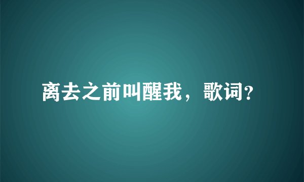 离去之前叫醒我,歌词?