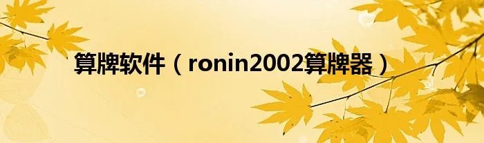 算牌软件（ronin2002算牌器）
