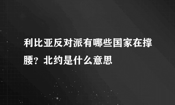 利比亚反对派有哪些国家在撑腰？北约是什么意思