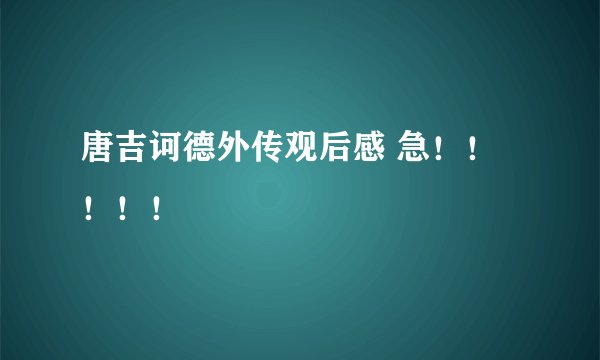 唐吉诃德外传观后感 急！！！！！