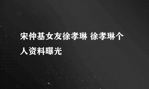宋仲基女友徐孝琳 徐孝琳个人资料曝光