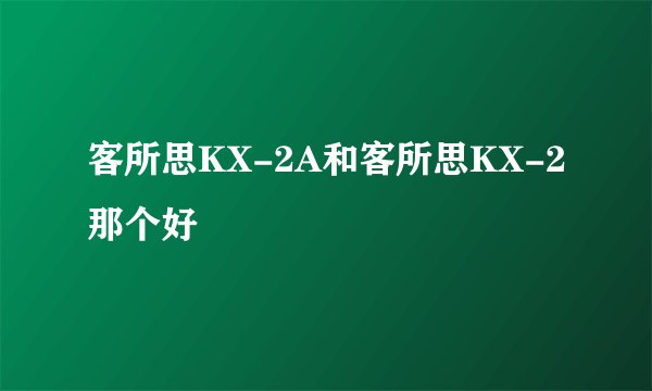 客所思KX-2A和客所思KX-2那个好