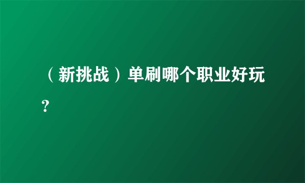 （新挑战）单刷哪个职业好玩？