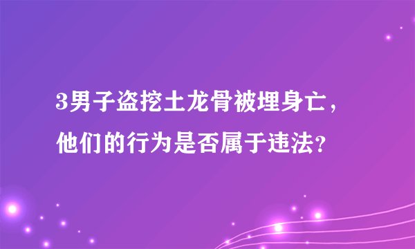 3男子盗挖土龙骨被埋身亡，他们的行为是否属于违法？