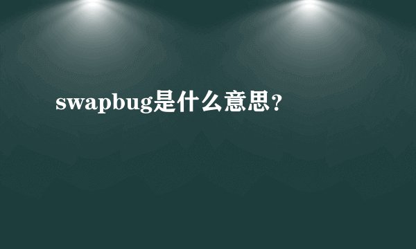 swapbug是什么意思？