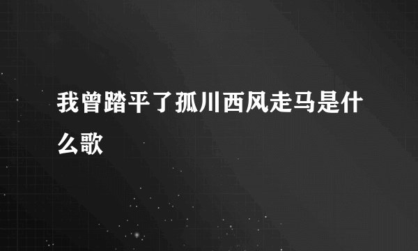 我曾踏平了孤川西风走马是什么歌