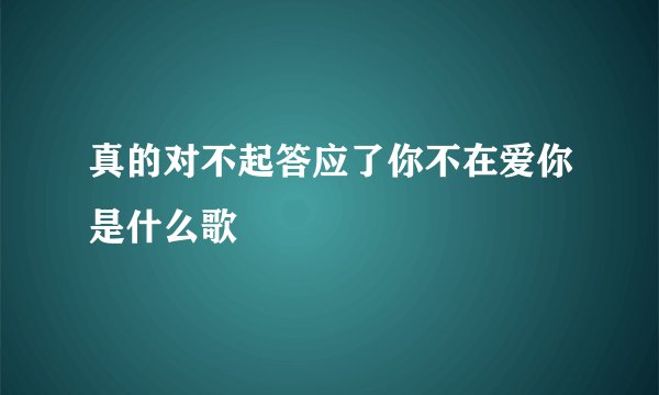 真的对不起答应了你不在爱你是什么歌