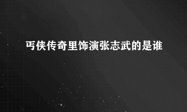 丐侠传奇里饰演张志武的是谁