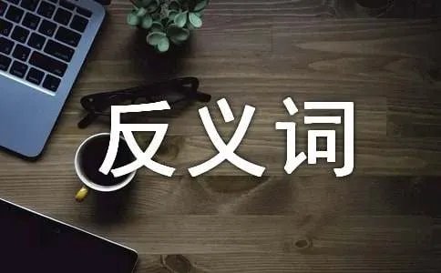 掩饰的反义词